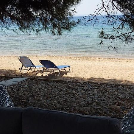 "Pine&Sea" Kastamoniti Beach Nikiti  Exteriör bild