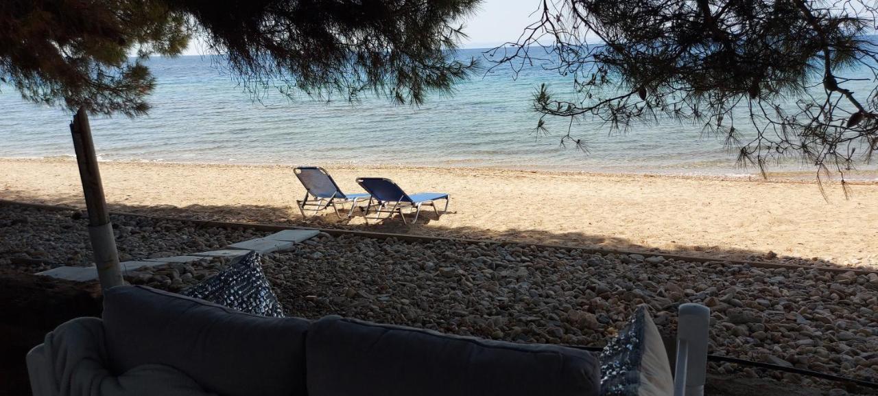 "Pine&Sea" Kastamoniti Beach Nikiti  Exteriör bild