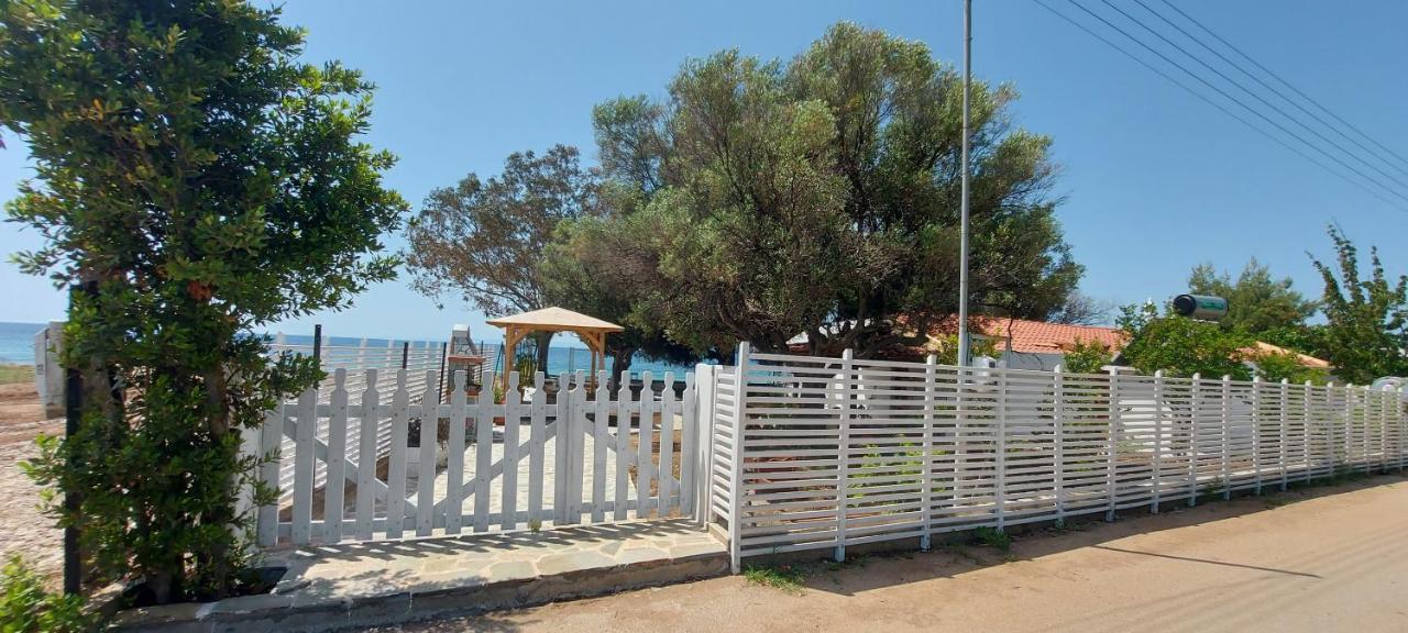 "Pine&Sea" Kastamoniti Beach Nikiti  Exteriör bild