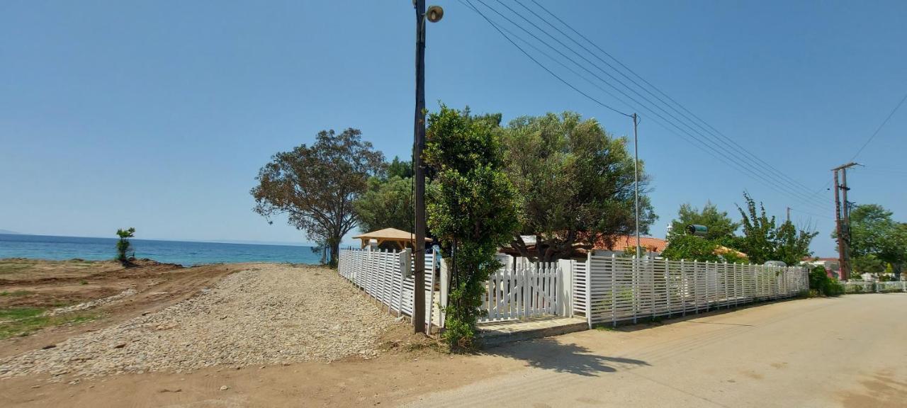 "Pine&Sea" Kastamoniti Beach Nikiti  Exteriör bild