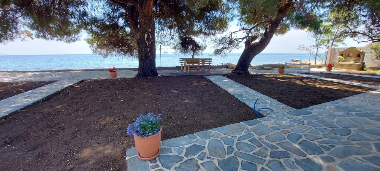 "Pine&Sea" Kastamoniti Beach Nikiti  Exteriör bild