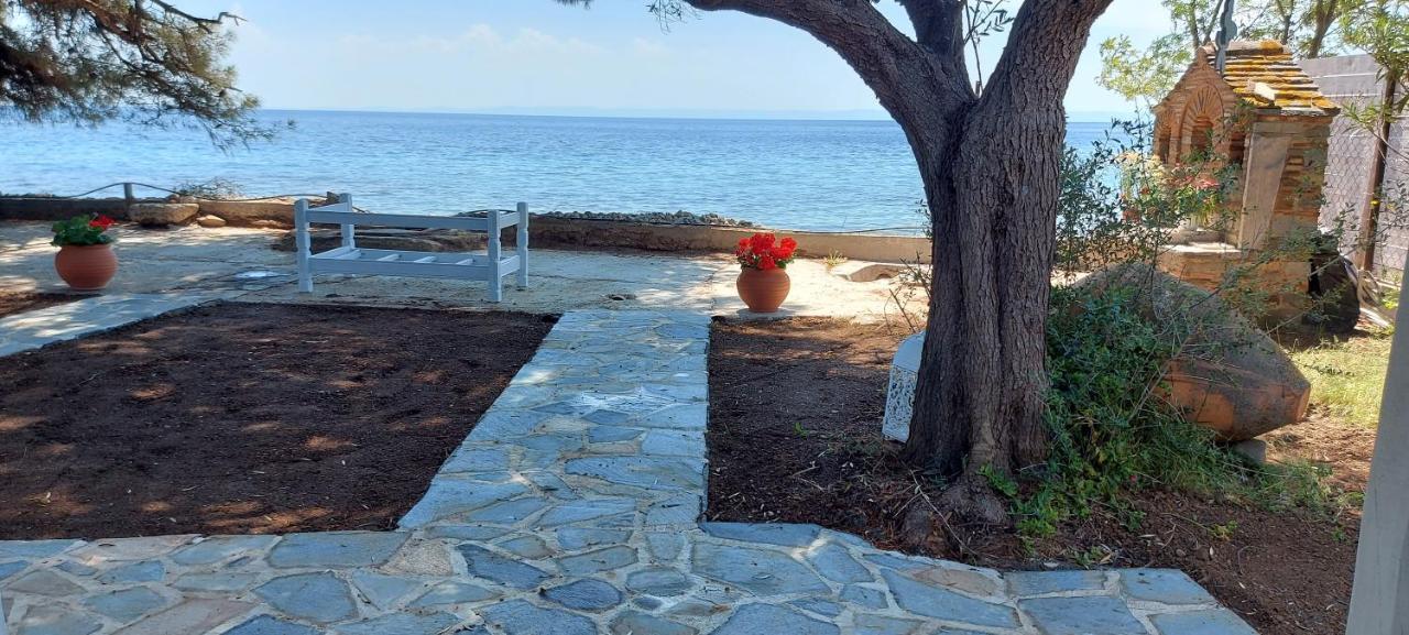 "Pine&Sea" Kastamoniti Beach Nikiti  Exteriör bild